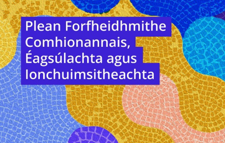 Plean Forfheidhmithe, Comhionannais, Éagsúlachta agus Ionchuimsitheachta